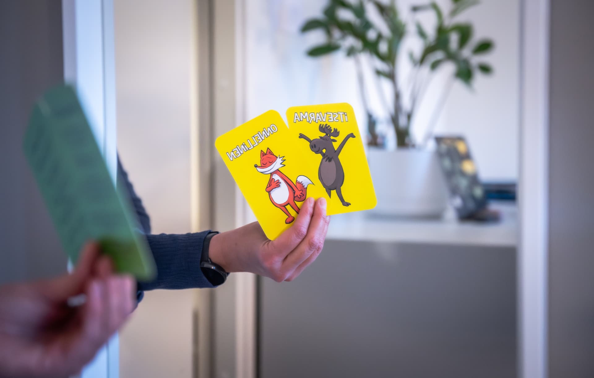 Tunne- ja tunnetilakortteja psykoterapiatyöskentelyn tukena